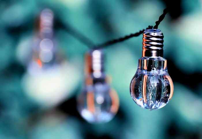 Light bulb, energy, nature, environment, ecology, light, environmental ...